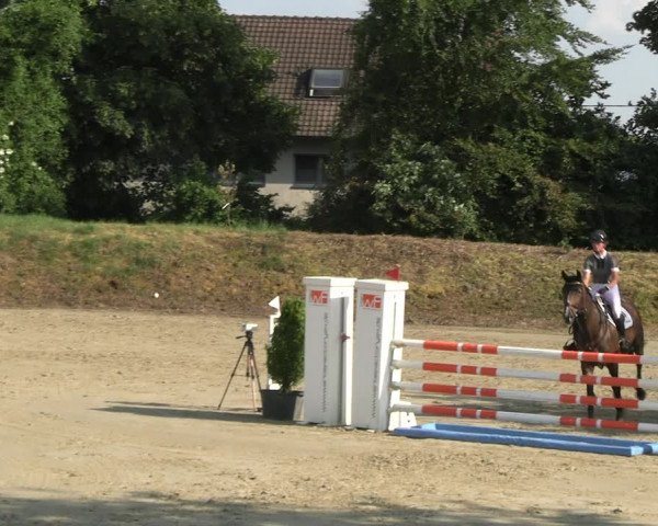 Reitturnier Fröndenberg 2023