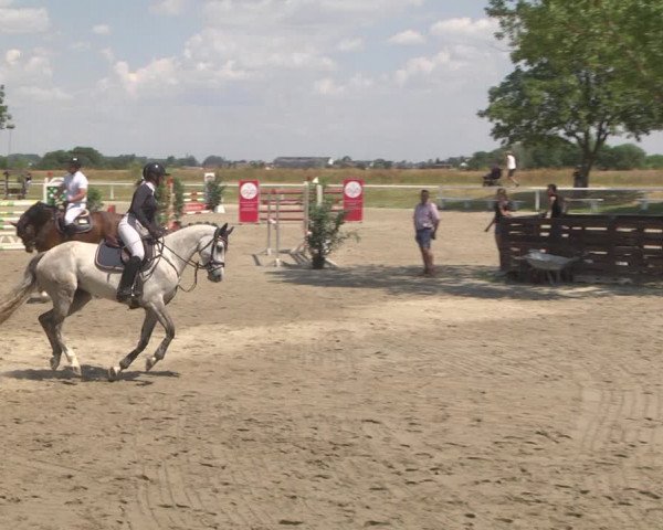 Reitturnier Biebesheim 2023