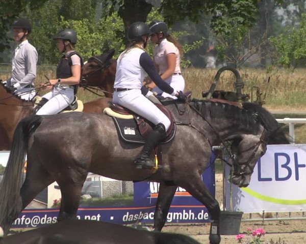 Reitturnier Biebesheim 2023