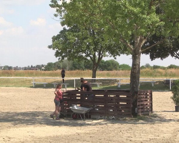 Reitturnier Biebesheim 2023