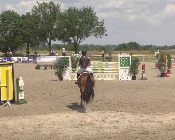 Reitturnier Biebesheim 2023