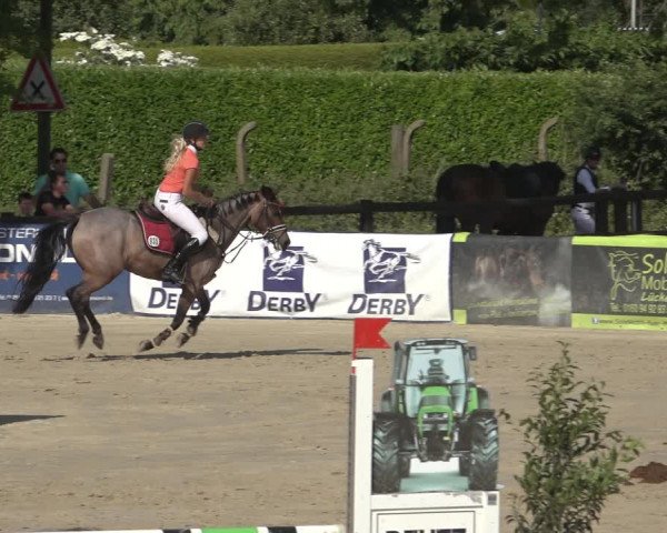 Reitturnier Ochtrup 2023
