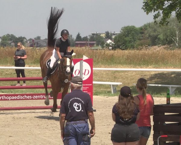 Reitturnier Biebesheim 2023