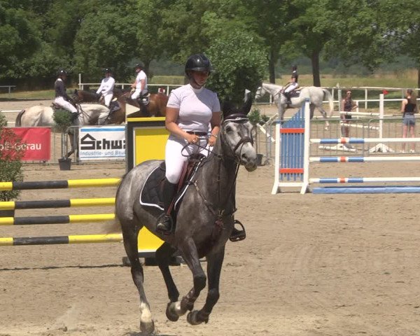 Reitturnier Biebesheim 2023