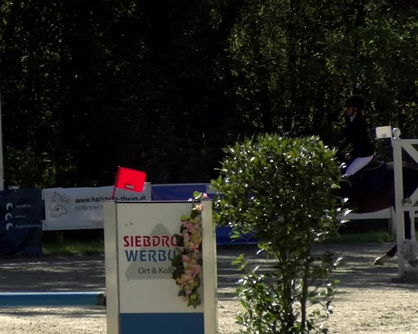 Reitturnier Isny-Rohrdorf 2021