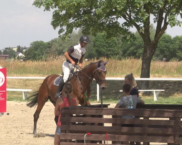 Reitturnier Biebesheim 2023