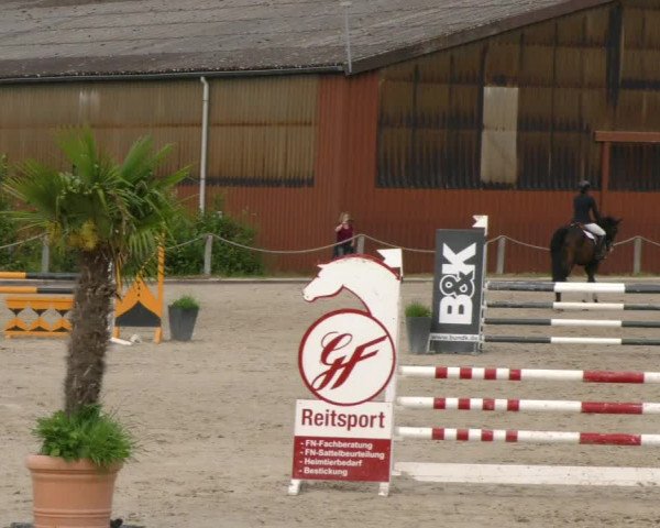 Reitturnier Handorf 2023