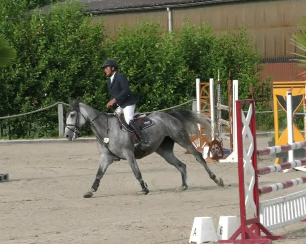 Reitturnier Handorf 2023