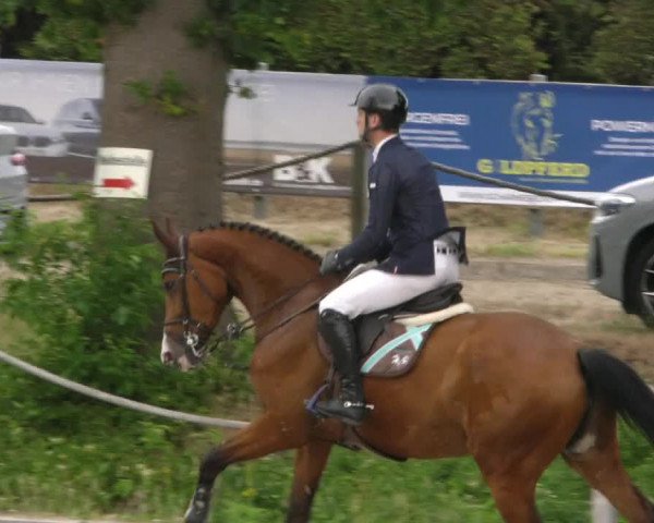 Reitturnier Handorf 2023