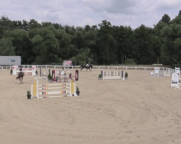 Reitturnier Oberkaufungen 2023