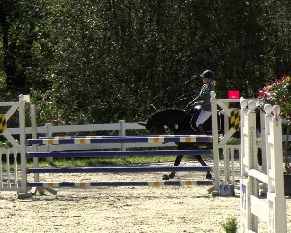 Reitturnier Isny-Rohrdorf 2021