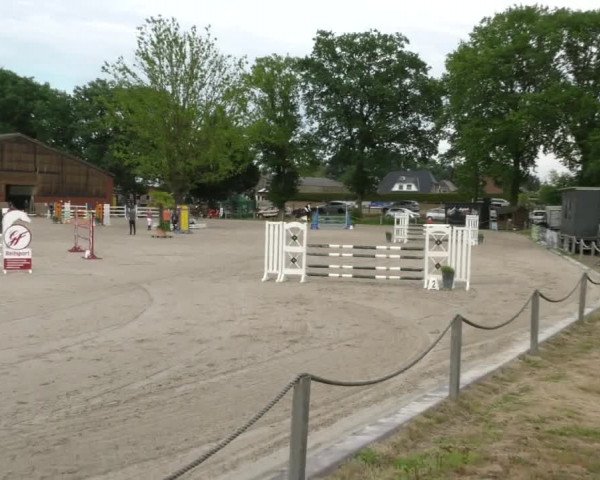 Reitturnier Handorf 2023