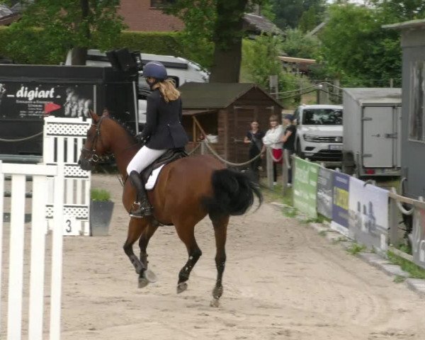 Reitturnier Handorf 2023