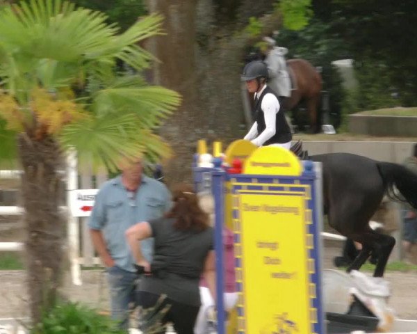 Reitturnier Handorf 2023