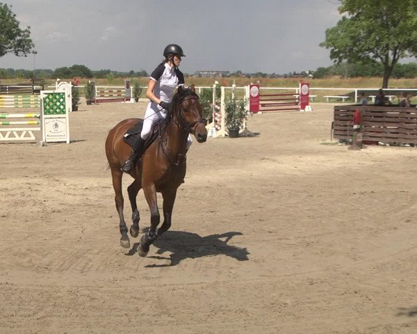 Reitturnier Biebesheim 2023