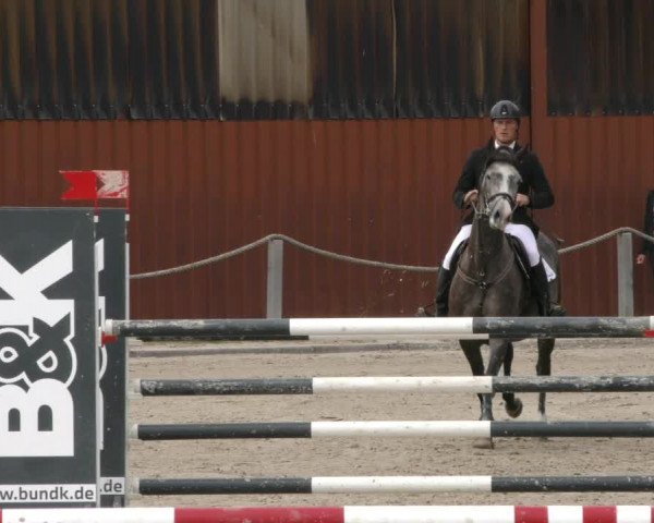 Reitturnier Handorf 2023