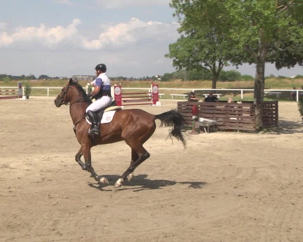 Reitturnier Biebesheim 2023