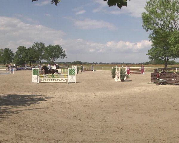 Reitturnier Biebesheim 2023