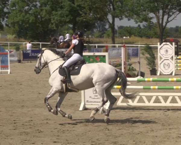 Reitturnier Biebesheim 2023
