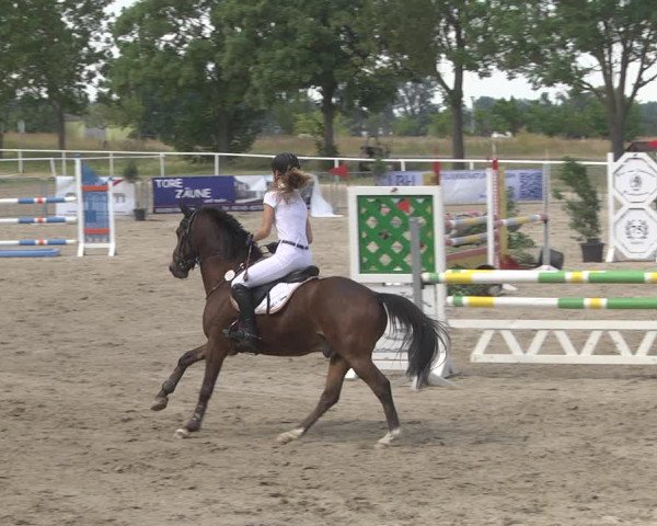 Reitturnier Biebesheim 2023