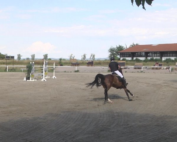 Reitturnier Biebesheim 2023