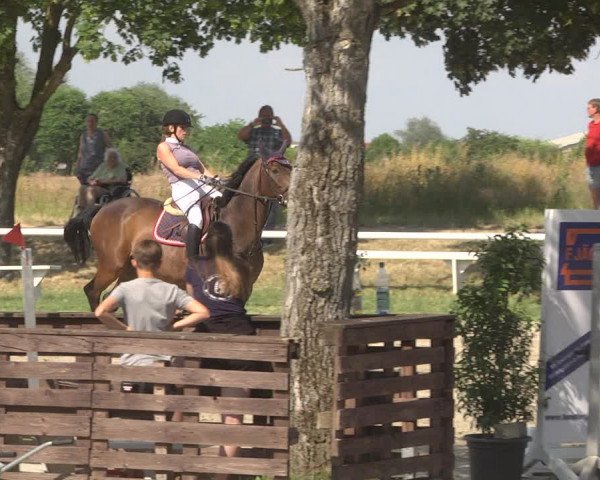 Reitturnier Biebesheim 2023