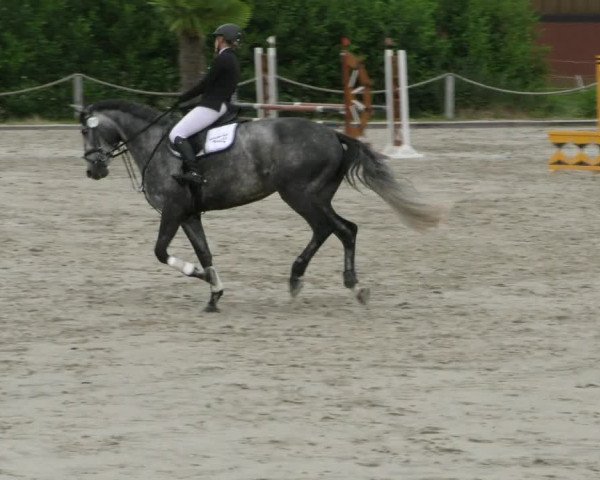 Reitturnier Handorf 2023