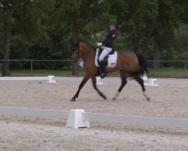 Reitturnier Rot am See- Musdorf 2023