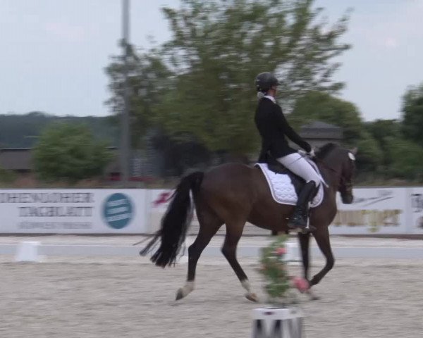 Reitturnier Rot am See- Musdorf 2023