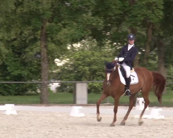 Reitturnier Rot am See- Musdorf 2023