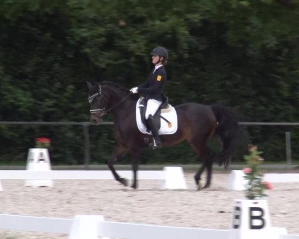Reitturnier Rot am See- Musdorf 2023