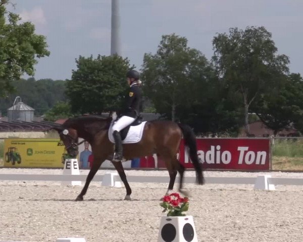 Reitturnier Rot am See- Musdorf 2023