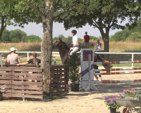 Reitturnier Biebesheim 2023