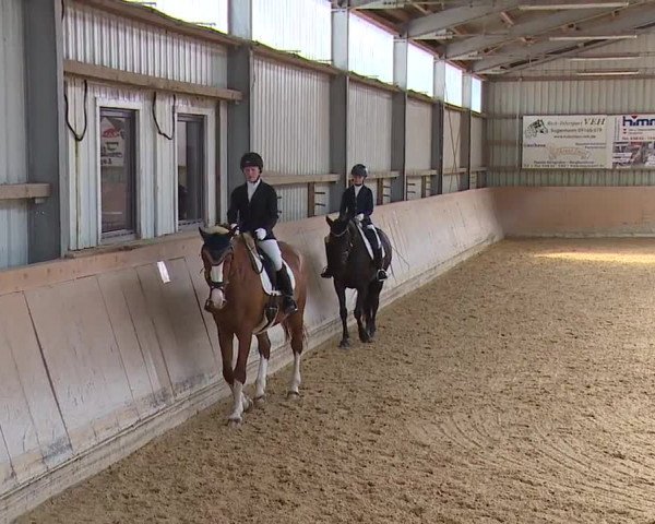 Reitturnier Bad Windsheim/Mfr. 2023