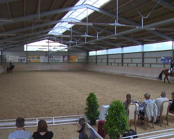 Reitturnier Bad Windsheim/Mfr. 2023