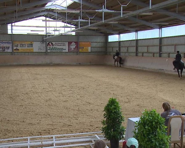 Reitturnier Bad Windsheim/Mfr. 2023