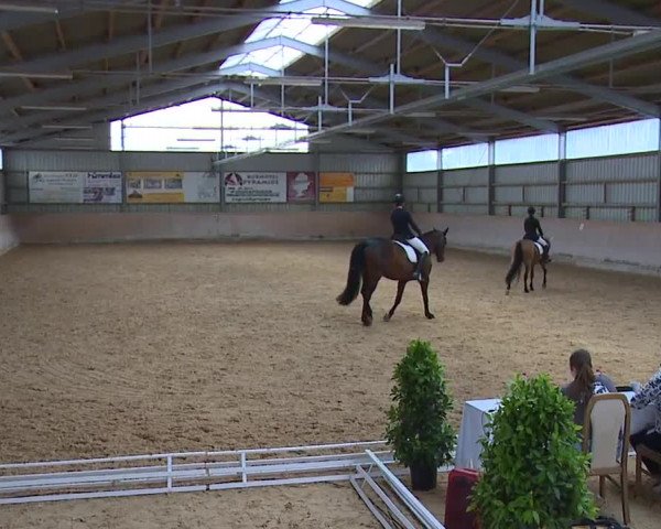 Reitturnier Bad Windsheim/Mfr. 2023