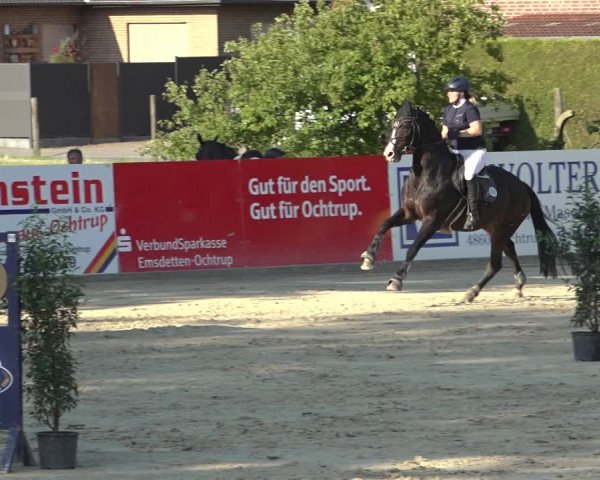 Reitturnier Ochtrup 2023