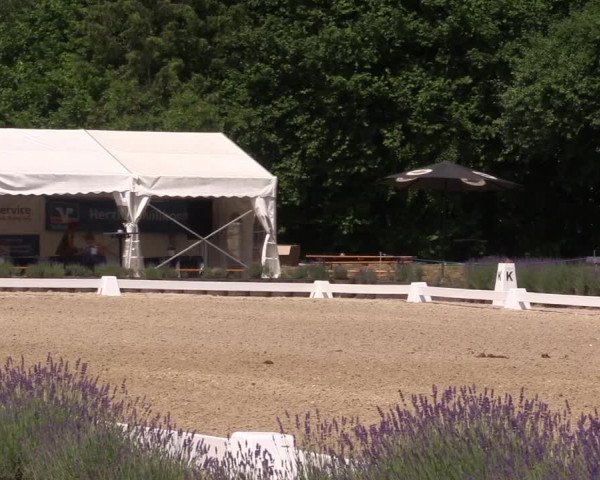 Reitturnier Lindlar - Reitanlage Dückers 2023