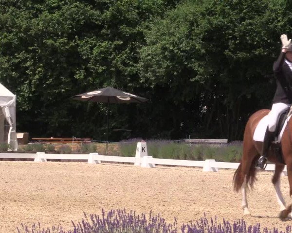 Reitturnier Lindlar - Reitanlage Dückers 2023