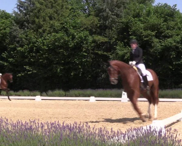 Reitturnier Lindlar - Reitanlage Dückers 2023