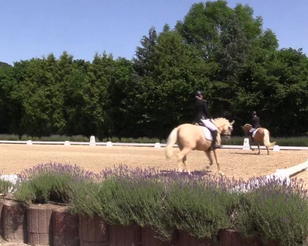Reitturnier Lindlar - Reitanlage Dückers 2023