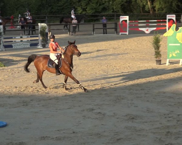 Reitturnier Ochtrup 2023