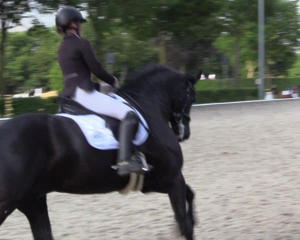 Reitturnier Fröndenberg 2023