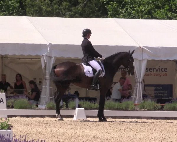 Reitturnier Lindlar - Reitanlage Dückers 2023