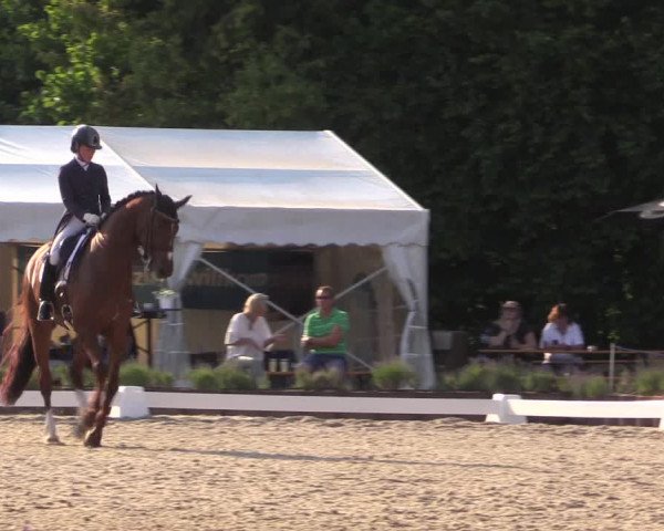 Reitturnier Lindlar - Reitanlage Dückers 2023