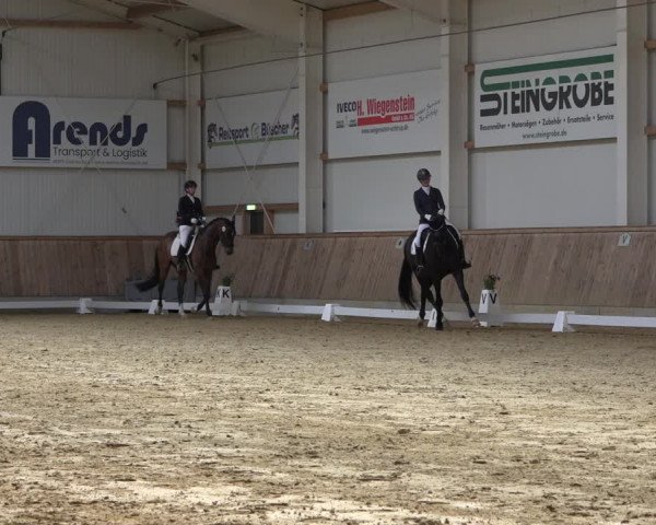 Reitturnier Ochtrup 2023