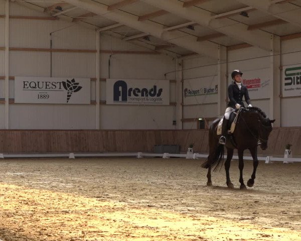 Reitturnier Ochtrup 2023