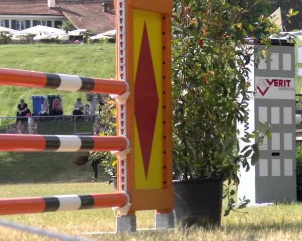 Reitturnier Meilen 2023