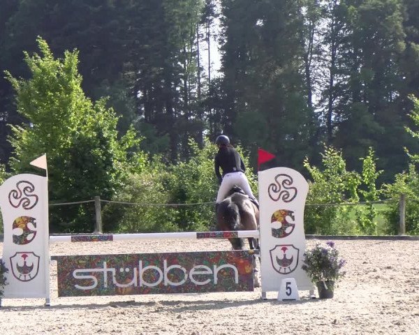 Reitturnier Meilen 2023